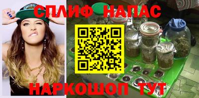 сатива Кулебаки