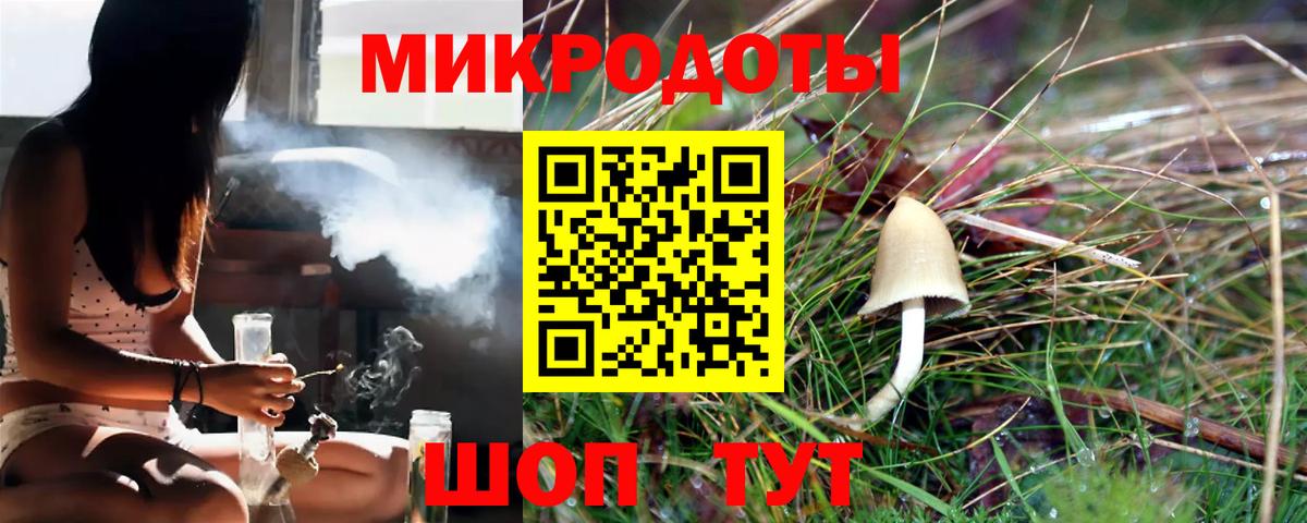 Псилоцибиновые грибы Cubensis Ишимбай