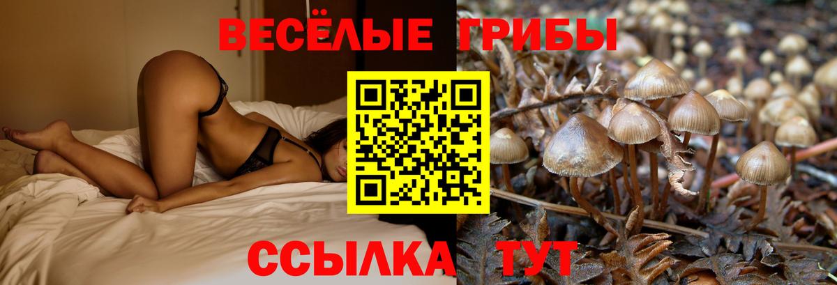 Галлюциногенные грибы Magic Shrooms  даркнет сайт  Ишимбай  Вход с VPN 